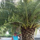  ,   , 67 ,     , c 
