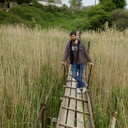 ���������� ��������, ���� ������� ���������, 41 ���, ������������ ��� ������, ����� � ���������, c�������� ���������