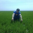 ���������� ����, ���� ������� No name, 32 ����, ������������ ��� ������, ����� � ���������