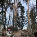 ���������� �����-���������, ���� ������� �������, 37 ���, ������������ ��� ����� � ���������, c�������� ���������