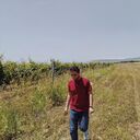  ,   Tornike, 24 ,   ,   , c , 
