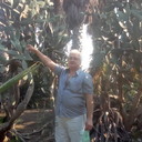  Ramat Gan,   Vladislav, 54 ,   ,   , c 