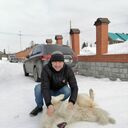 ���������� ���, ���� ������� ������, 43 ����, ������������ ��� ������, ���������