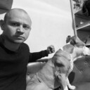 ���������� ������, ���� ������� �����, 31 ���, ������������ ��� ������, ����� � ���������, c�������� ���������