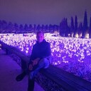 ���������� �����������, ���� ������� �������, 38 ���, ������������ ��� ����� � ���������, c�������� ���������