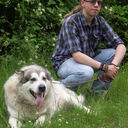 ���������� �������, ���� ������� Veslavas, 32 ����, ������������ ��� ������