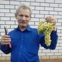 ���������� ������, ���� ������� ����������, 61 ���, ������������ 