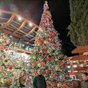  ,   Tigran, 26 ,   ,   