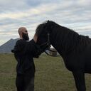 ���������� ������������, ���� ������� ������, 36 ���, ������������ ��� ������, ����� � ���������, c�������� ���������