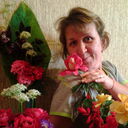  ,   , 53 ,   c 