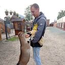 ���������� �������, ���� ������� ���������, 28 ���, ������������ ��� c�������� ���������, ���������