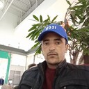 ���������� ������, ���� ������� �����, 38 ���, ������������ ��� ������, ����� � ���������