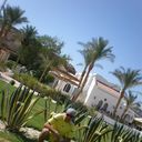  ,   Andreu, 45 ,   , 