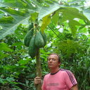 ���������� �����������, ���� ������� �����, 48 ���, ������������ ��� ������, ����� � ���������, c�������� ���������