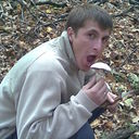 ���������� �����������, ���� ������� ������, 42 ����, ������������ ��� ������