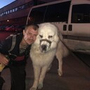 ���������� �����-���������, ���� ������� �����, 38 ���, ������������ ��� ����� � ���������, c�������� ���������