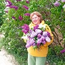  ,   , 62 ,     , c 