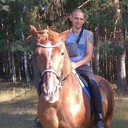  ,   , 34 ,     , c , 