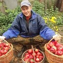 ���������� ����, ���� ������� ������, 42 ����, ������������ ��� ������, ����� � ���������, c�������� ���������