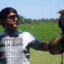 ���������� ������, ���� ������� �����, 43 ����, ������������ ��� ������