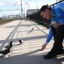 ���������� �����-���������, ���� ������� ��������, 36 ���, ������������ ��� ������