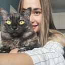 ���������� ������, ���� ������� ��������, 23 ����, ������������ ��� ������, ����� � ���������