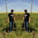 ���������� ������, ���� ������� Jasur, 33 ����, ������������ ��� ������, ����� � ���������