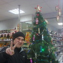  ,   Mustang, 37 ,   ,   , c 