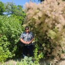  ,   , 50 ,   ,   , c , 