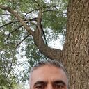 ���������� �����-���������, ���� ������� ���, 50 ���, ������������ ��� ���������