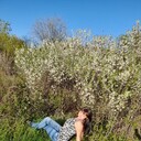 ���������� ������, ���� ������� ����, 34 ����, ������������ ��� ������, ����� � ���������