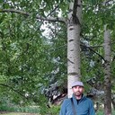 ���������� ��������, ���� ������� ���, 41 ���, ������������ ��� ������, ����� � ���������