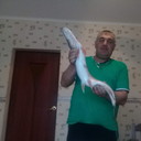  ,   , 51 ,   ,   , c , 