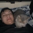 ���������� ������, ���� ������� �������, 31 ���, ������������ ��� ������, ����� � ���������