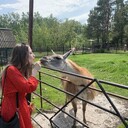  ,   , 25 ,   