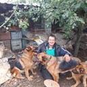  ,   , 53 ,   ,   , c , 