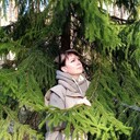 ���������� ���������, ���� ������� �����, 42 ����, ������������ ��� c�������� ���������