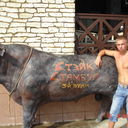 ���������� �������, ���� ������� Igor, 37 ���, ������������ ��� ������, ����� � ���������, c�������� ���������