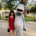 ���������� �����������, ���� ������� ���������, 31 ���, ������������ ��� ������, ����� � ���������, c�������� ���������