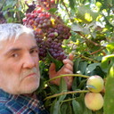  --,   , 65 ,   ,   , 