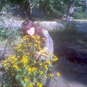  ,   , 40 ,  