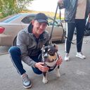 ���������� ����, ���� ������� ����, 37 ���, ������������ ��� ������, ����� � ���������