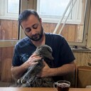 ���������� ������, ���� ������� ���, 35 ���, ������������ ��� ������, ����� � ���������