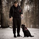 ���������� ������, ���� ������� ����������, 30 ���, ������������ ��� ������, ����� � ���������