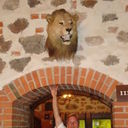 ���������� �����-���������, ���� ������� ����, 51 ���, ������������ ��� ������