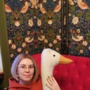 ���������� ����, ���� ������� �������, 44 ����, ������������ ��� ����� � ���������, c�������� ���������