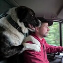  -,   , 46 ,   ,   , c , 