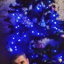  ,   Lyalya, 33 ,   