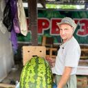 ���������� ������, ���� ������� �������, 48 ���, ������������ ��� c�������� ���������