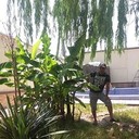 ���������� ������, ���� ������� �����, 40 ���, ������������ ��� ������, ����� � ���������, c�������� ���������